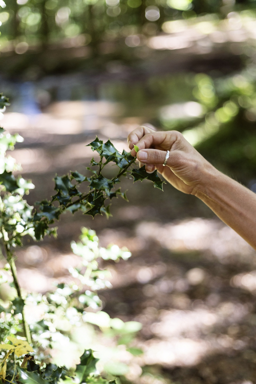 Naturopathie approche naturelle